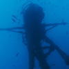 Picture taken during the dive
