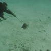 Picture taken during the dive