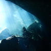 Picture taken during the dive