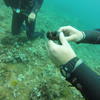 Picture taken during the dive