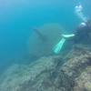 Picture taken during the dive