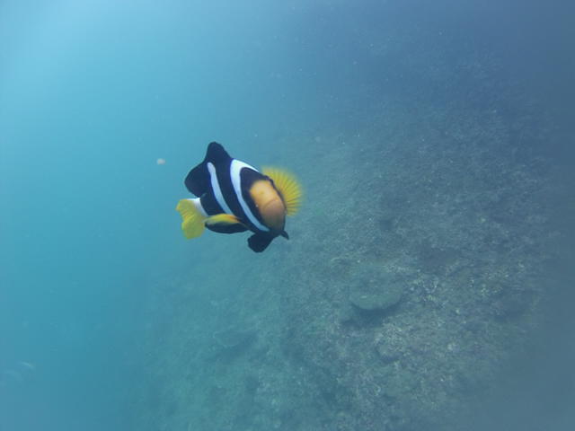 Railay Dive Center - Dive Center