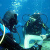 Picture taken during the dive