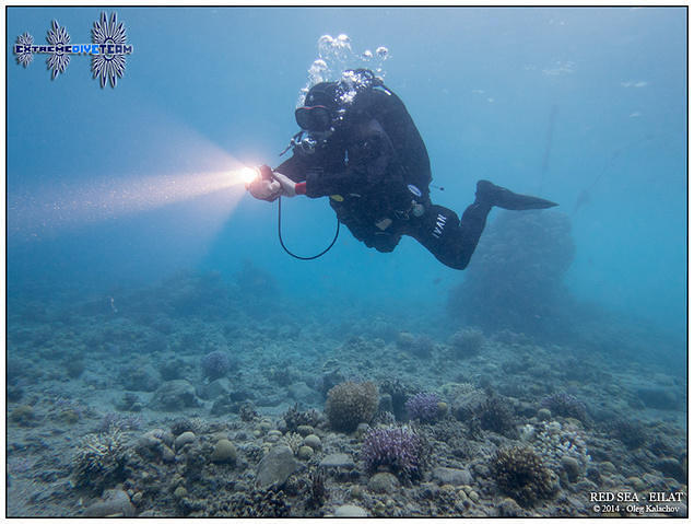 Snuba - Dive Center in Israël