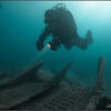 Picture taken during the dive