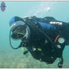 Picture taken during the dive