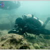 Picture taken during the dive
