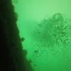 Picture taken during the dive