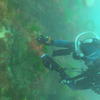 Picture taken during the dive