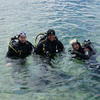 Picture taken during the dive