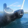 Picture taken during the dive