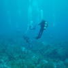 Picture taken during the dive