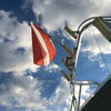 Picture taken during the dive
