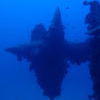 Picture taken during the dive
