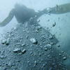 Picture taken during the dive