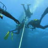 Picture taken during the dive