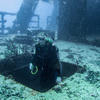 Picture taken during the dive