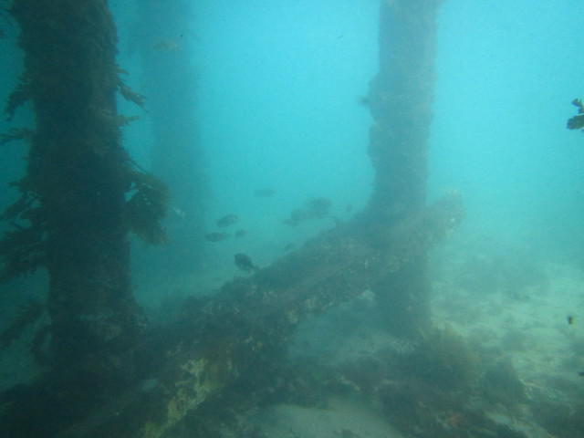 Extreme Watersport - Dive Center in Australia