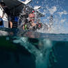 Picture taken during the dive