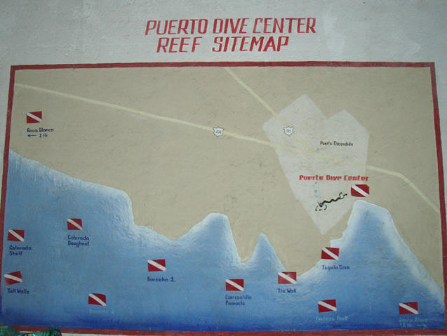 Puerto Dive Center - Dive Center in Mexico