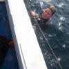 Picture taken during the dive