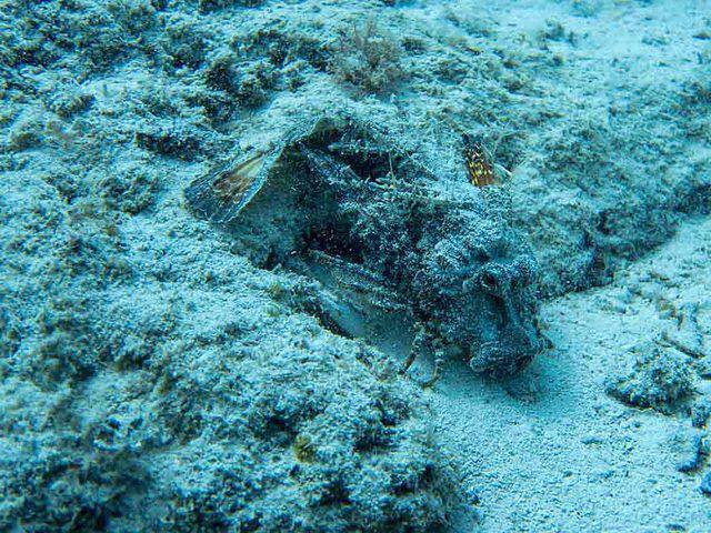 Matemwe Beach Village, One Ocean, Ltd. - Dive Center in Tanzania