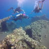 Picture taken during the dive