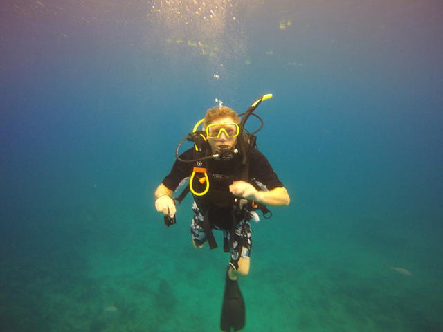 Dive Provo - Dive Center in Turks and Caicos Islands