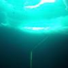 Picture taken during the dive