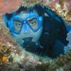 Picture taken during the dive