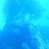 Picture taken during the dive