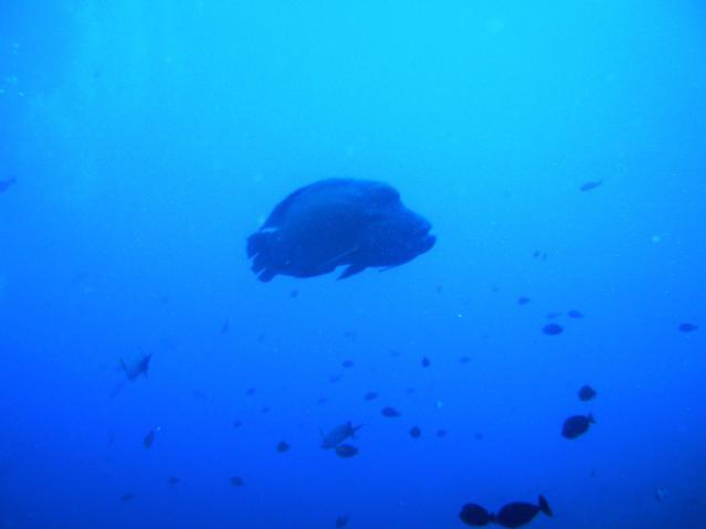 The Six Passengers - Dive Center