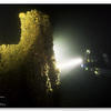 Picture taken during the dive