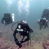 Picture taken during the dive