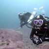 Picture taken during the dive