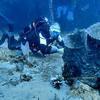 Picture taken during the dive