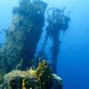 Picture taken during the dive