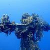 Picture taken during the dive