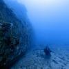Picture taken during the dive