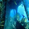 Picture taken during the dive