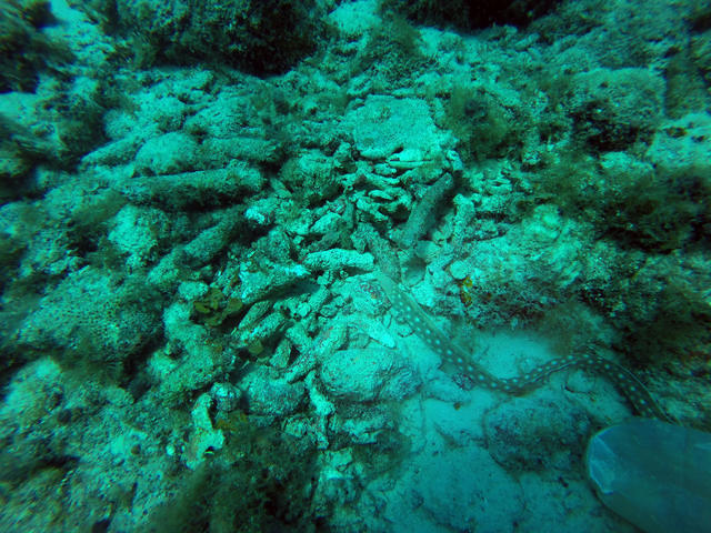 Cas Abao Watersport - Dive Center in Netherlands Antilles