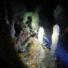 Picture taken during the dive