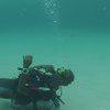 Picture taken during the dive