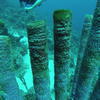 Picture taken during the dive