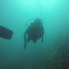 Picture taken during the dive