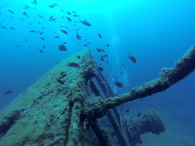 Cip Lavandou - Dive Center in France