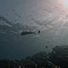 Picture taken during the dive