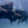 Picture taken during the dive