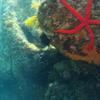 Picture taken during the dive