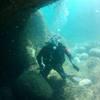 Picture taken during the dive